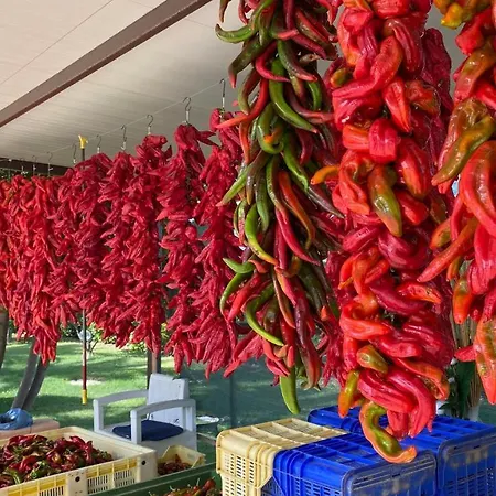 Caporotondo Pisticci